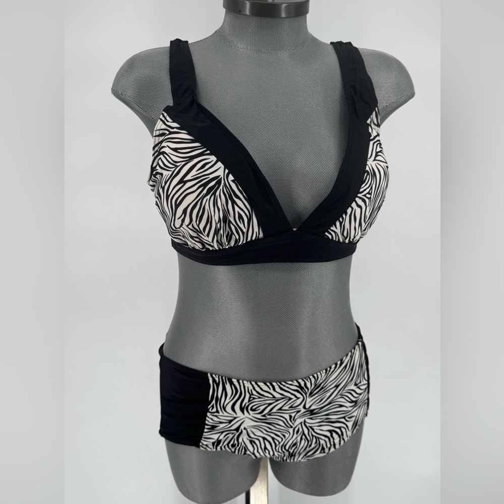 Chic Zebra Print Bikini Set